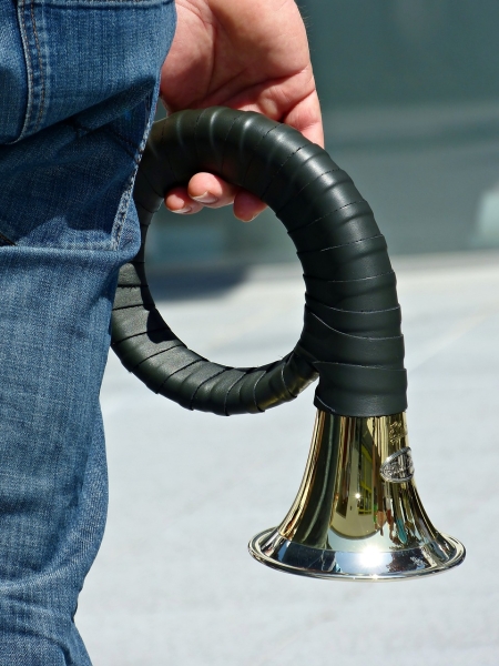 horn-5547639_1280