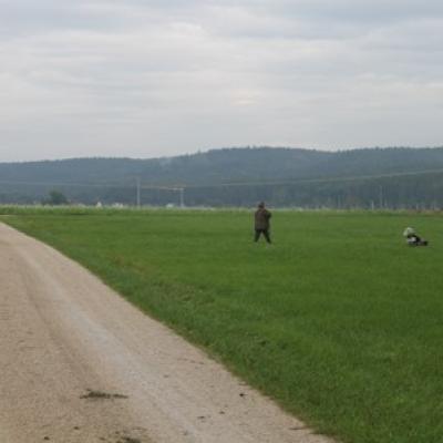 Img 8309