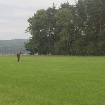 Img 8313