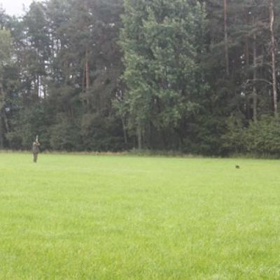 Img 8319
