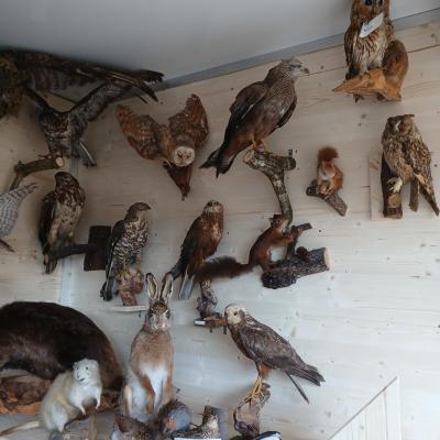 01 20251201 133204