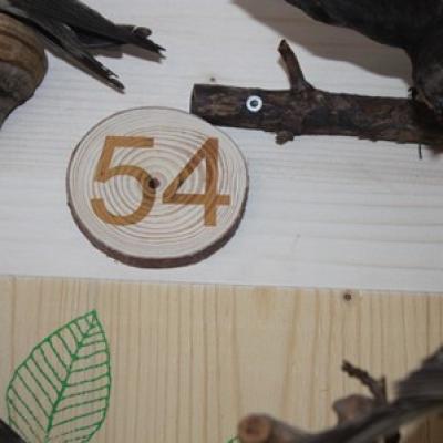 54 Singvogel