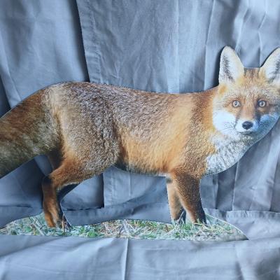 05 Fuchs